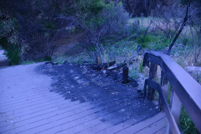 DSC_6242 (Large).JPG